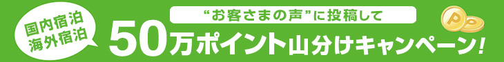 お客さまの声投稿でポイントもらおう